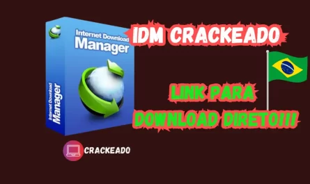 IDM Crackeado 6.42 Build 3 Download Português Grátis PT-BR 2024